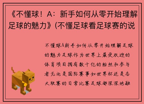 《不懂球！A：新手如何从零开始理解足球的魅力》(不懂足球看足球赛的说说)